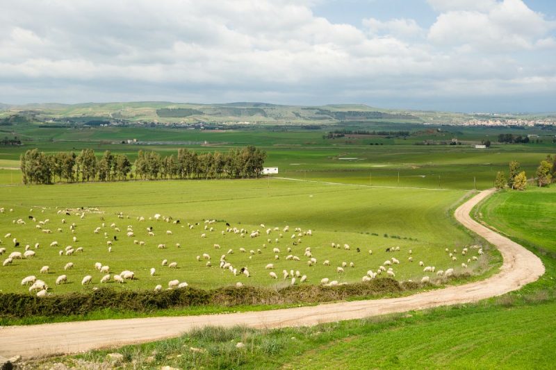 6 Best Areas For A Farming Holiday In Sardinia